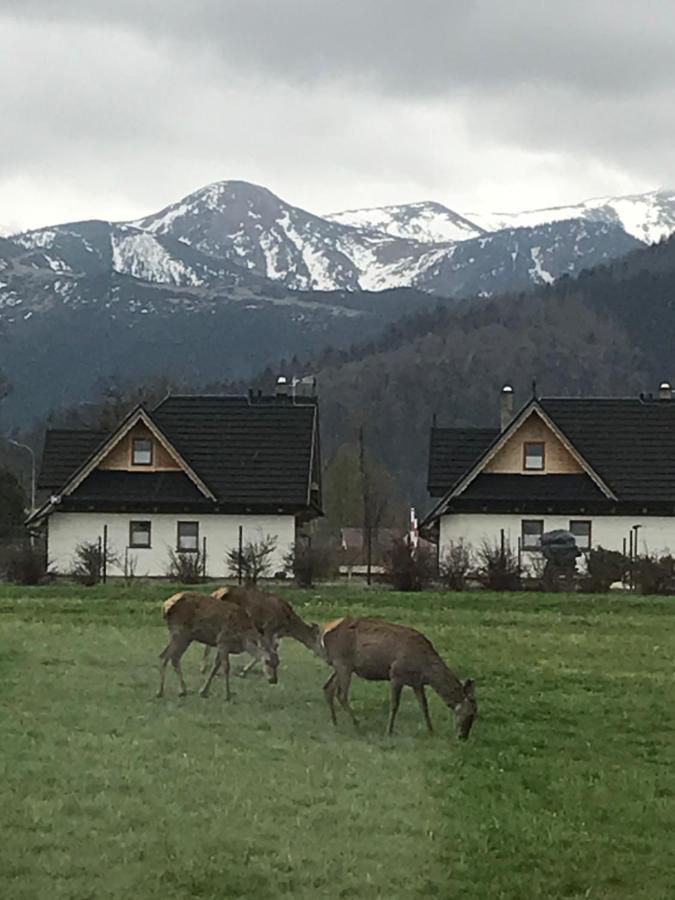 Villa Jumper Widok Na Cale Tatry Lazienka Nie Jest W Pokoju Zakopane Esterno foto