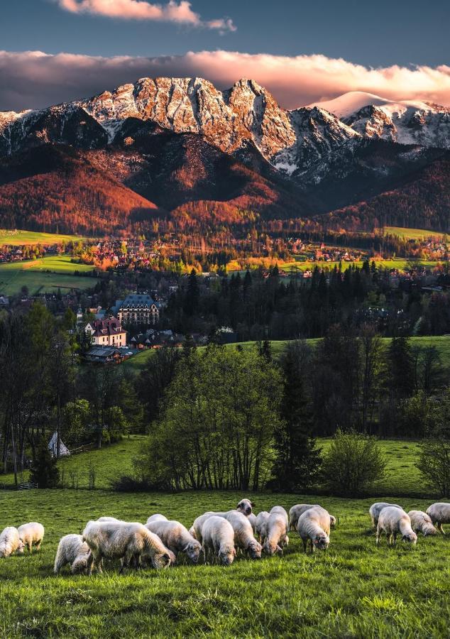 Villa Jumper Widok Na Cale Tatry Lazienka Nie Jest W Pokoju Zakopane Esterno foto